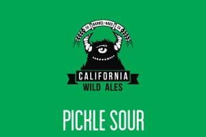 pickle-sour-beer