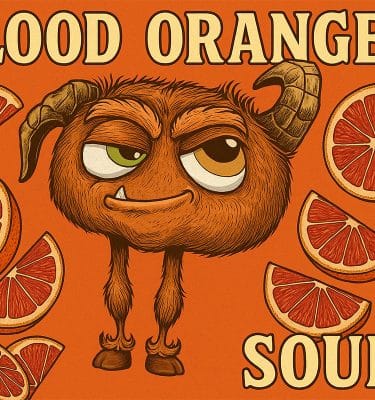 Blood Orange Sour Beer | California Wild Ales
