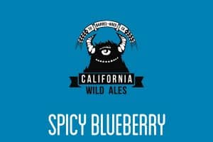 spicy-blueberry-california wild ales