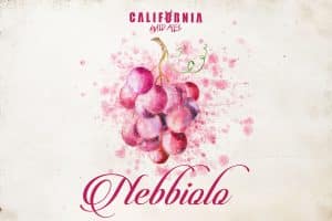 nebbiolo grape sour beer | california wild ales