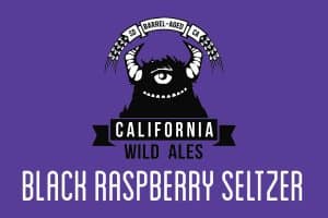 Black Raspberry Hard Seltzer | California Wild Ales