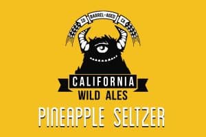 pineapple hard seltzer - california wild ales