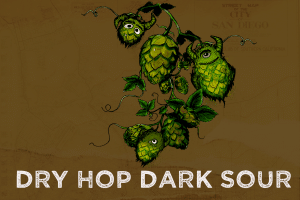 Dry Hop Dark Sour | California Wild Ales