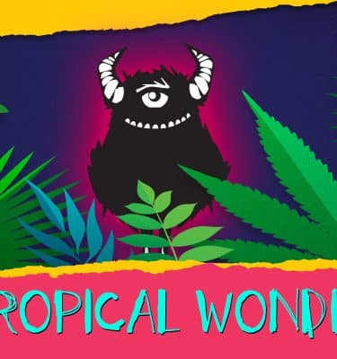 tropical wonder - sour beer