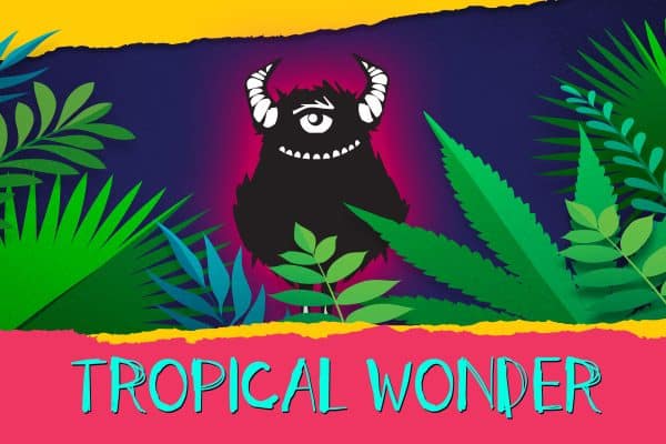 tropical wonder - sour beer